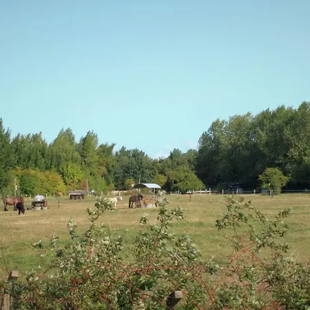Sonnendeck 28 - *